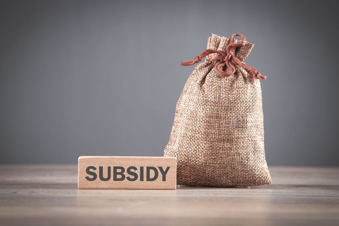 MSME Loans & Subsidy Assistance